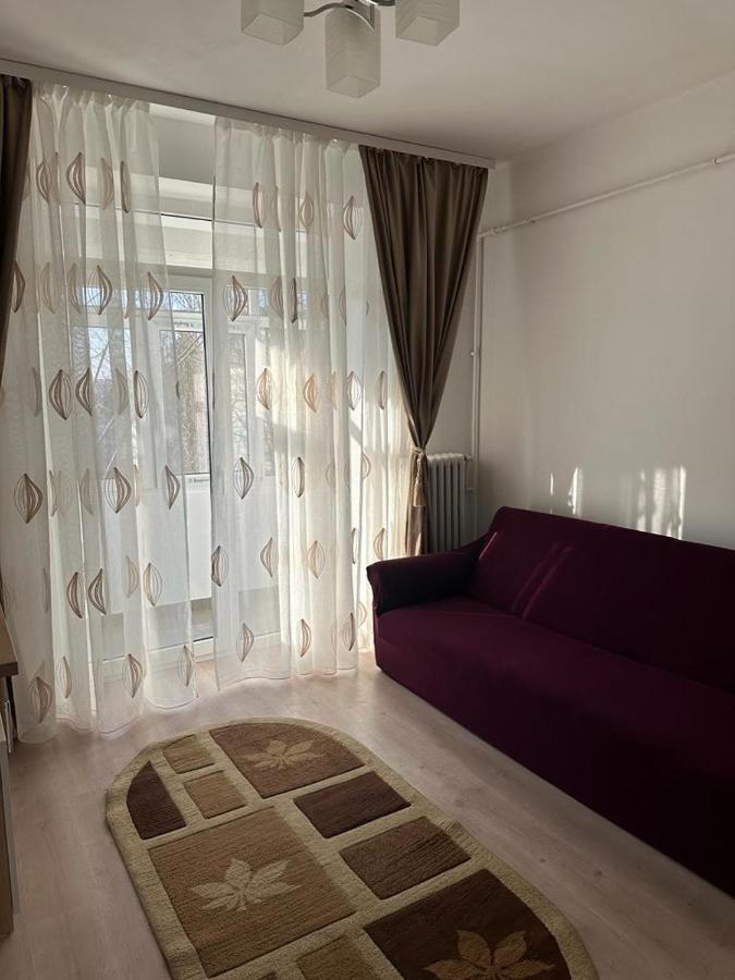 Velovan Apartment Craiova Exteriér fotografie